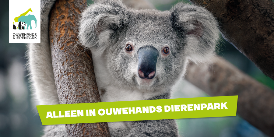 banner schoolreisje versie 2.png