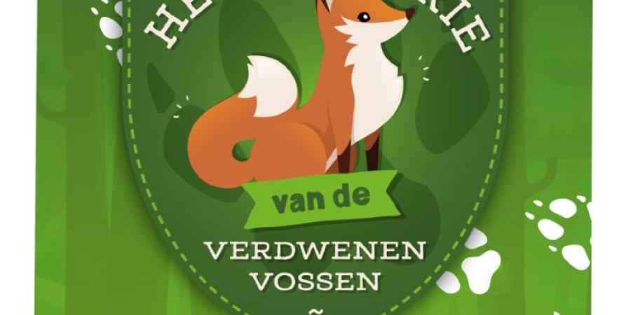 Schoolkamp: Een ervaring die je niet vergeet!