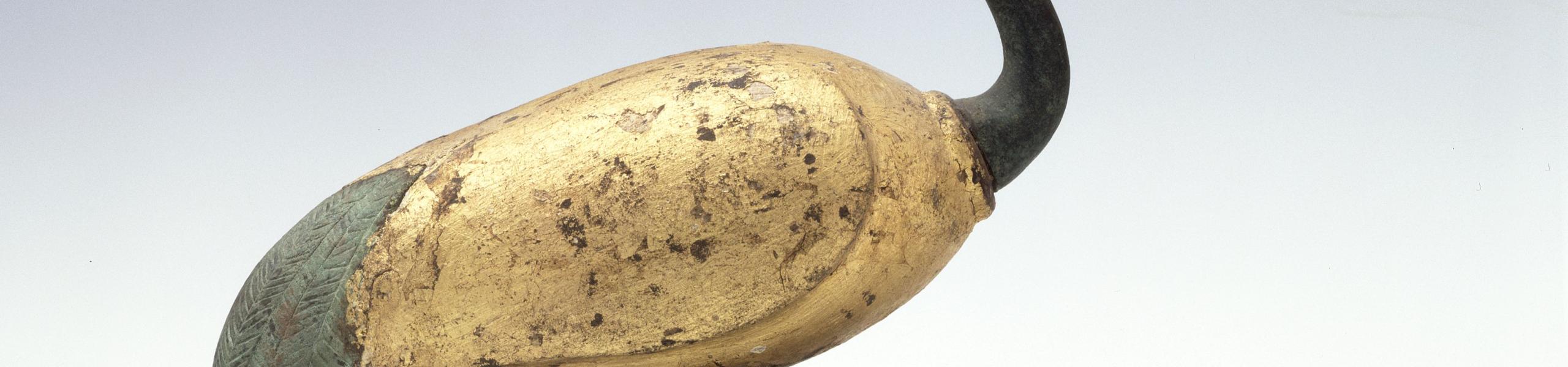 PERSFOTO Egyptische ibis_foto RMO.jpg