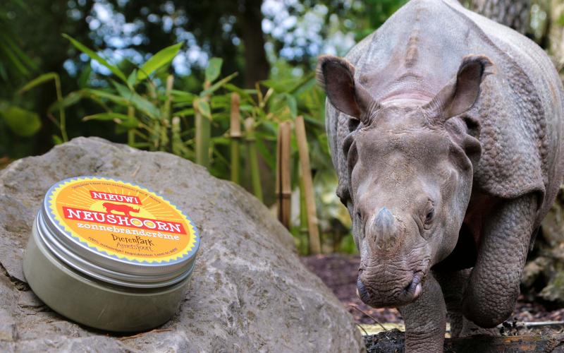 Neushoorn-zonnebrandcreme in DierenPark Amersfoort.jpg