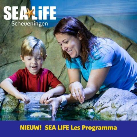 Nieuw: Les bij SEA LIFE in Scheveningen!
