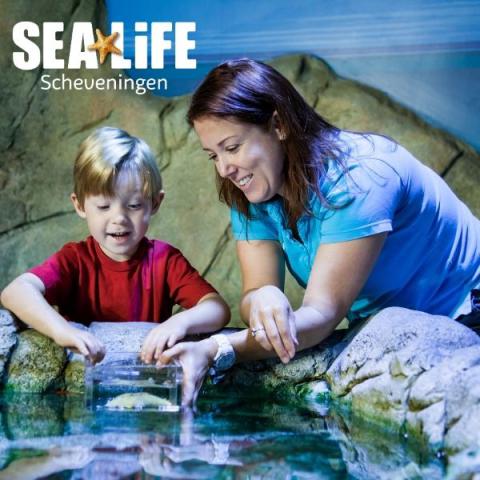 Op ontdekkingstocht in de onderwaterwereld bij SEA LIFE Scheveningen